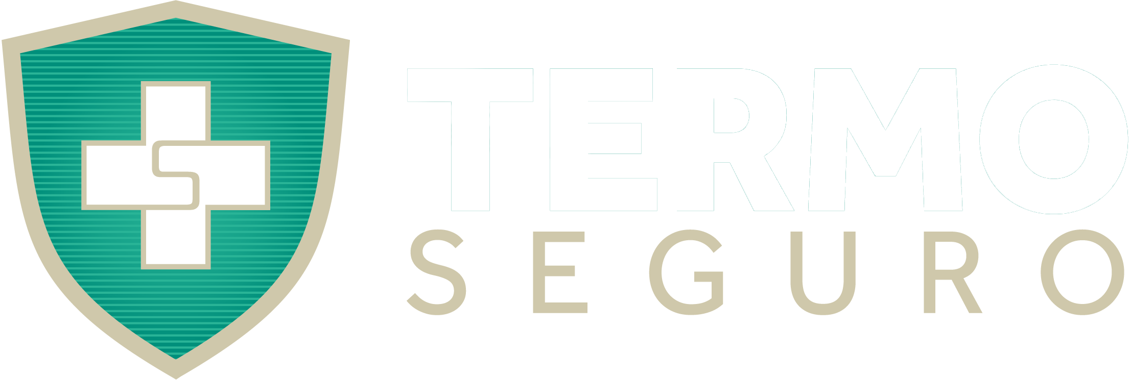 Termo Seguro